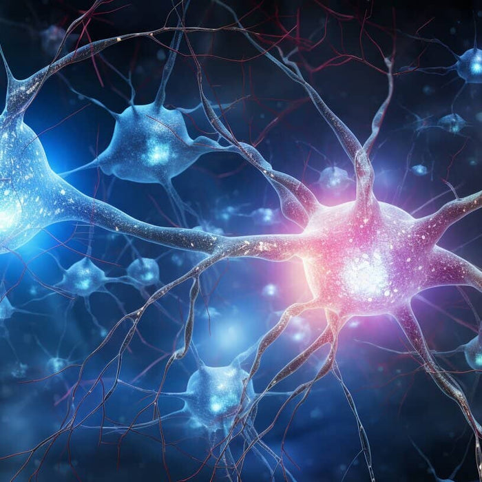 Can Hyperbaric Oxygen Therapy Improve Mental Health?